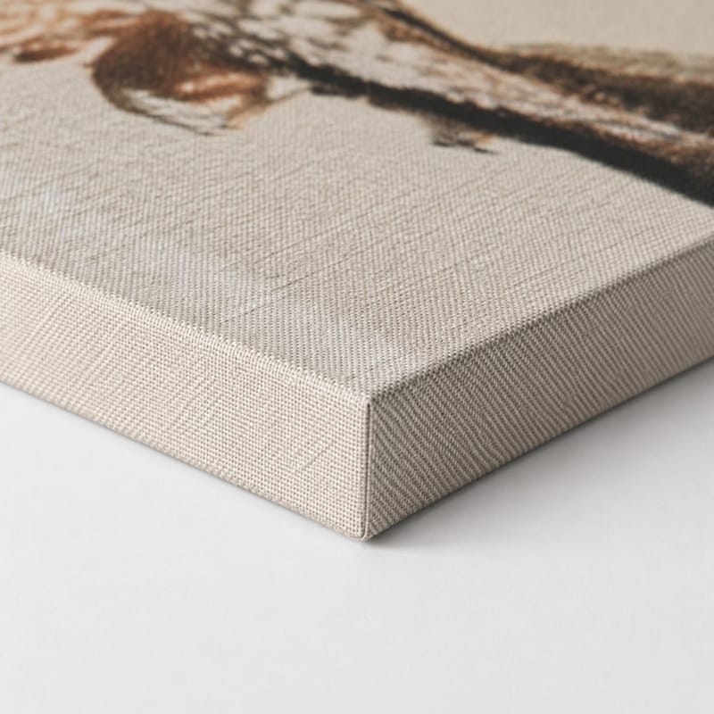 Canvas finish